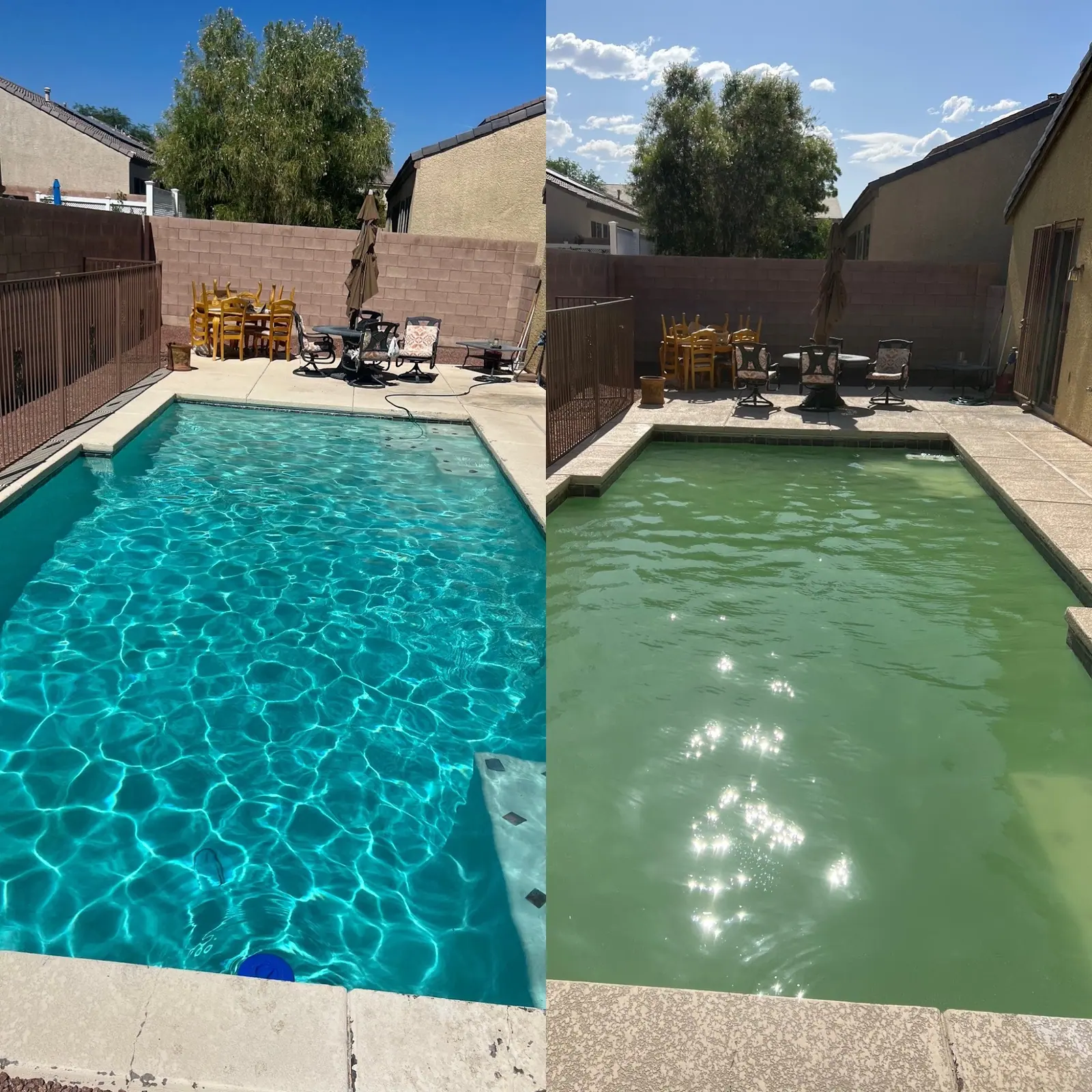 Side-by-side photo of a walled backyard pool, clear blue water on the left and green water on the right